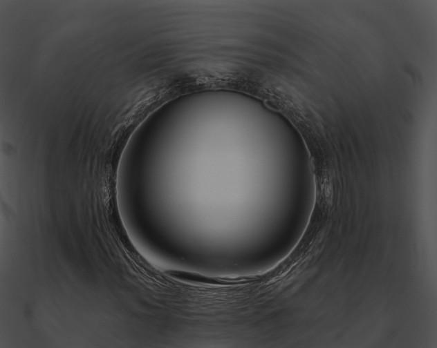 X0000090991012200708021517