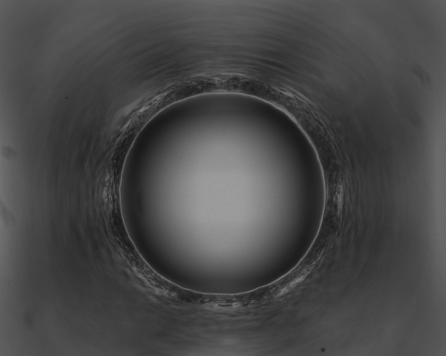 X0000090991014200708021517