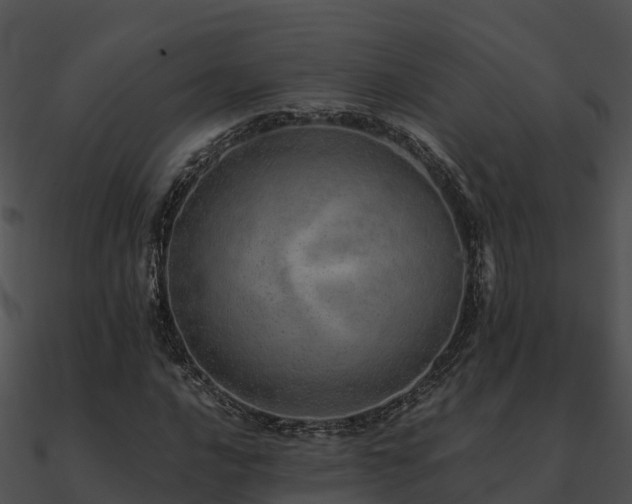 X0000090991016200708021517
