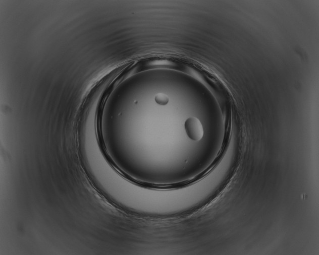 X0000090991018200708021517