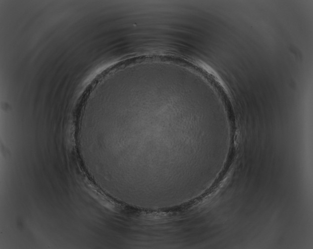 X0000090991019200708021517