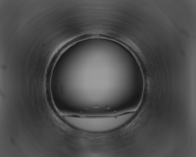 X0000090991020200708021517