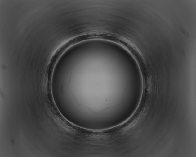 X0000090991021200708021517