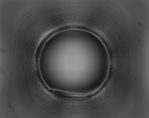 X0000090991022200708021517