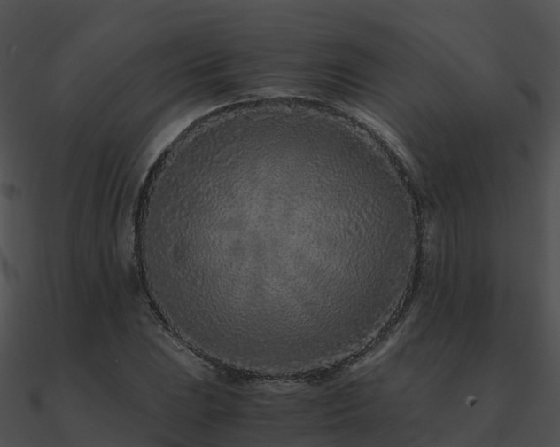 X0000090991023200708021517