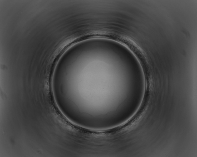 X0000090991025200708021517