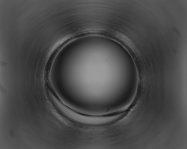 X0000090991026200708021517