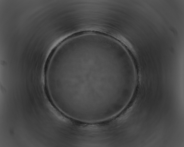 X0000090991028200708021517