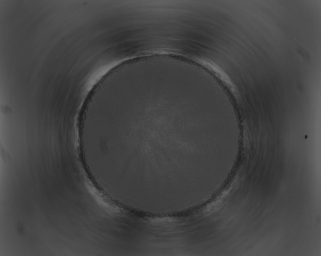 X0000090991031200708021517