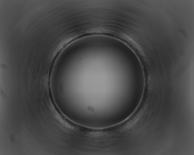 X0000090991033200708021517