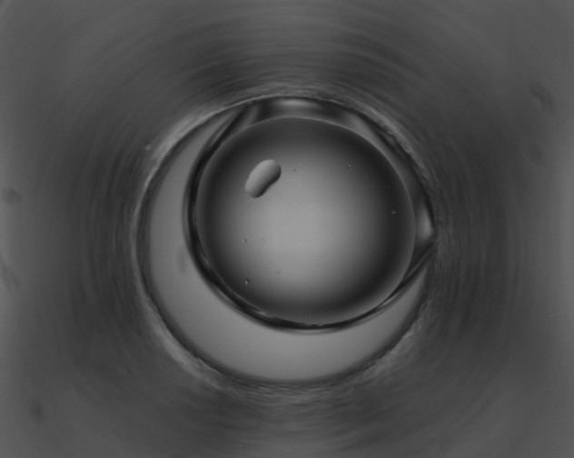 X0000090991034200708021518