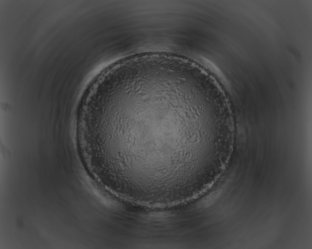 X0000090991035200708021518