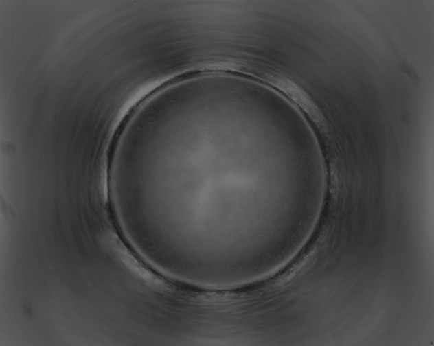 X0000090991036200708021518