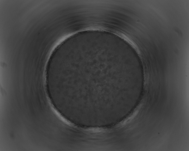 X0000090991037200708021518