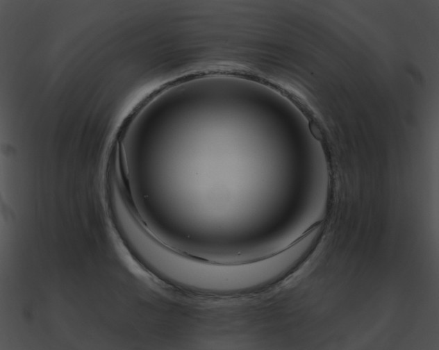 X0000090991038200708021518