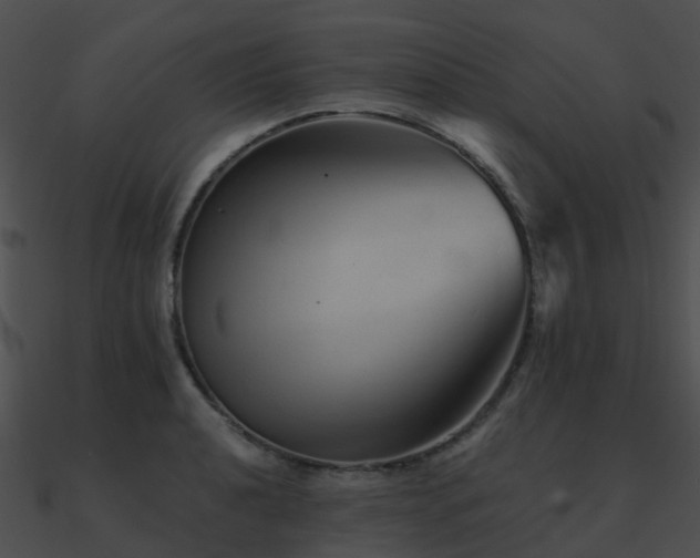 X0000090991040200708021518