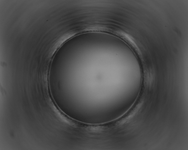 X0000090991041200708021518
