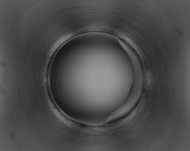 X0000090991042200708021518