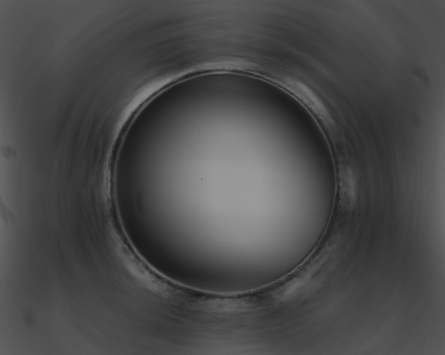 X0000090991044200708021518