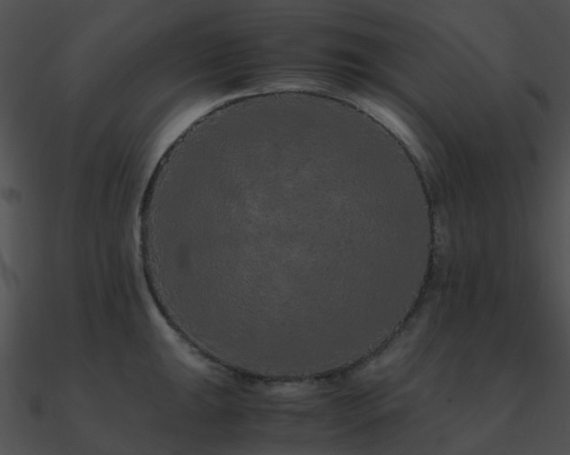 X0000090991047200708021518