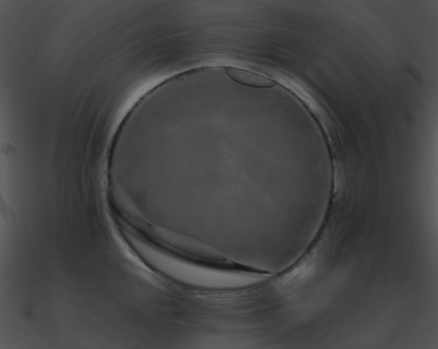 X0000090991048200708021518