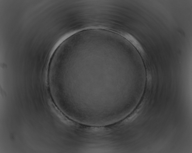 X0000090991052200708021518