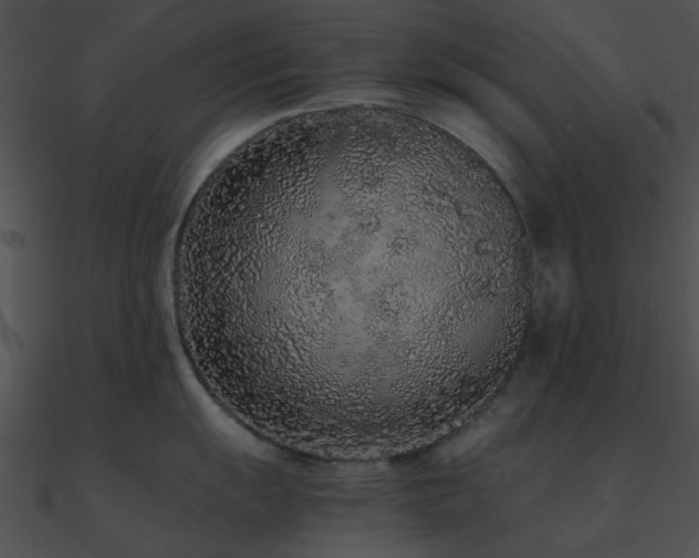 X0000090991055200708021518