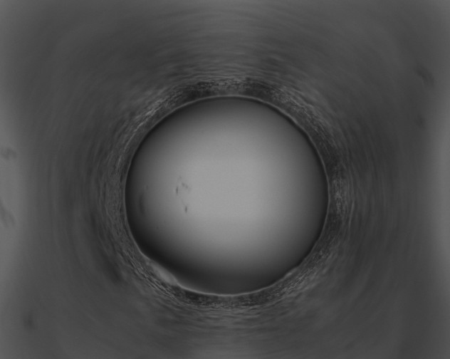 X0000090991057200708021517