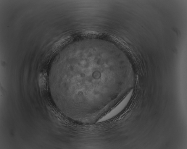 X0000090991059200708021517