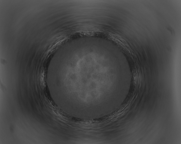 X0000090991060200708021517