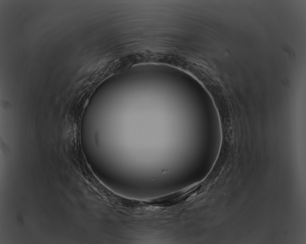 X0000090991061200708021517