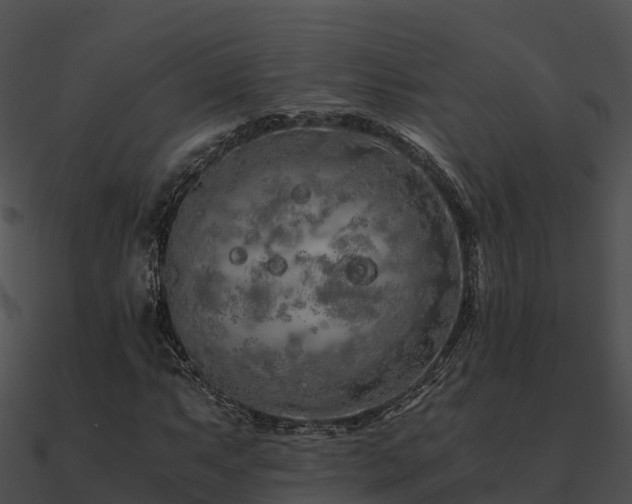 X0000090991063200708021517