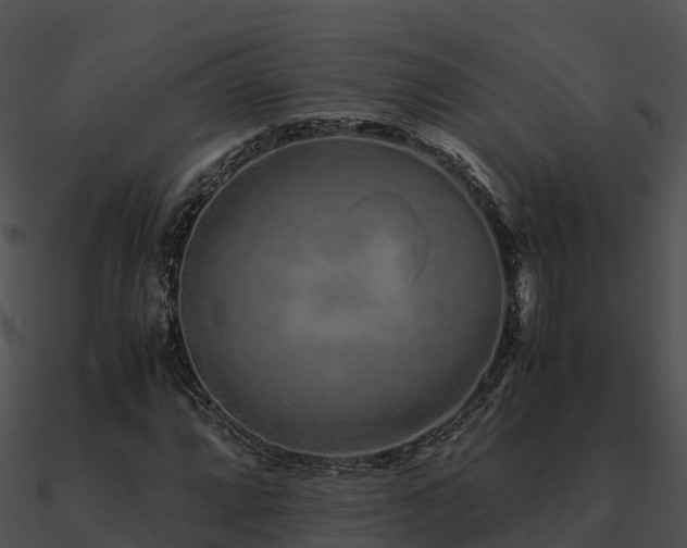 X0000090991064200708021517