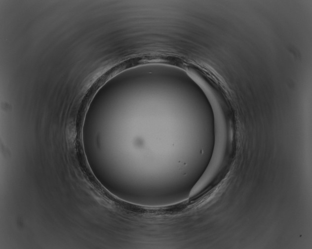 X0000090991065200708021517