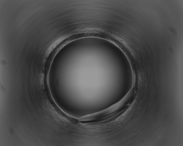 X0000090991066200708021517