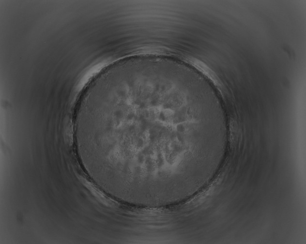 X0000090991067200708021517