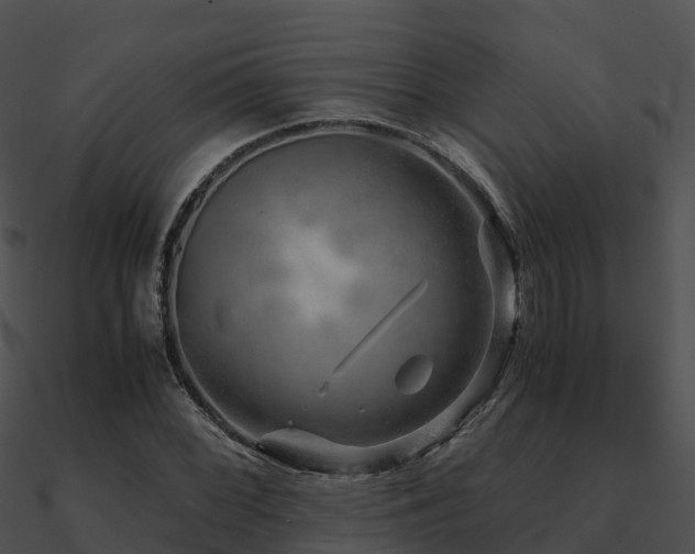 X0000090991068200708021517