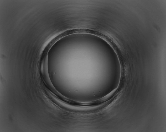 X0000090991069200708021517