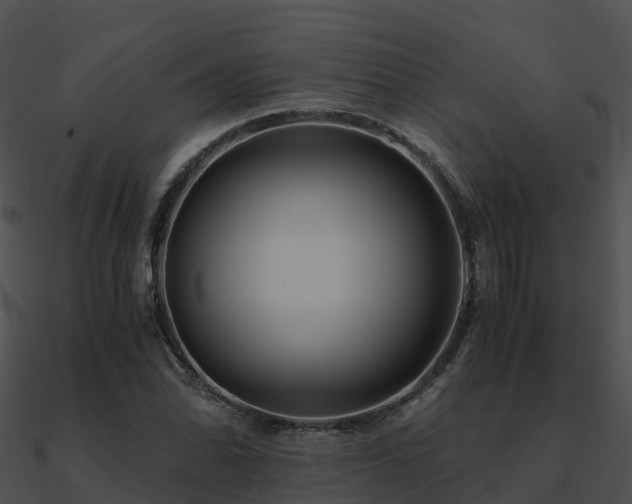 X0000090991070200708021517