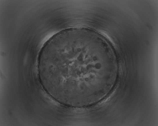 X0000090991071200708021517