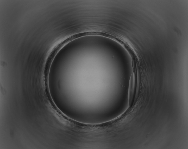 X0000090991072200708021517