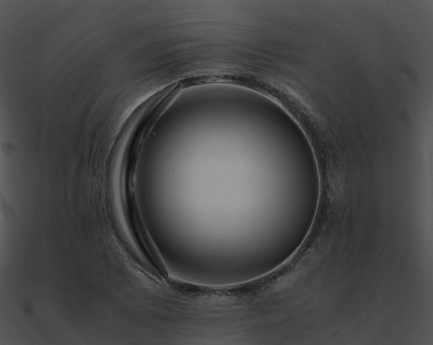 X0000090991073200708021517