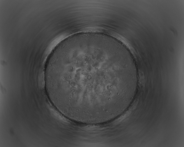 X0000090991075200708021517