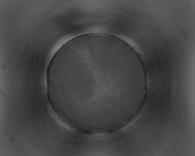 X0000090991078200708021517