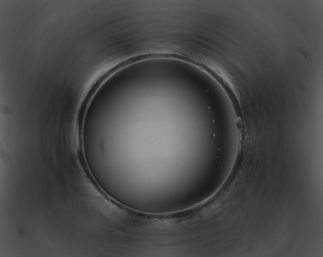 X0000090991080200708021517