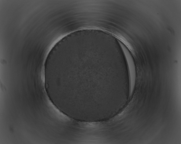 X0000090991084200708021517