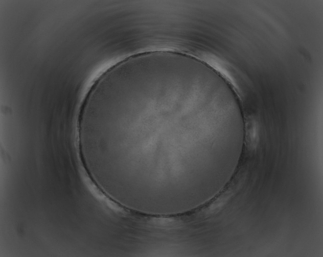 X0000090991088200708021517
