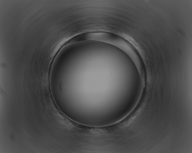 X0000090991089200708021517