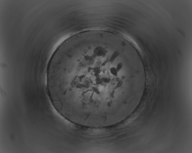 X0000090991095200708021517
