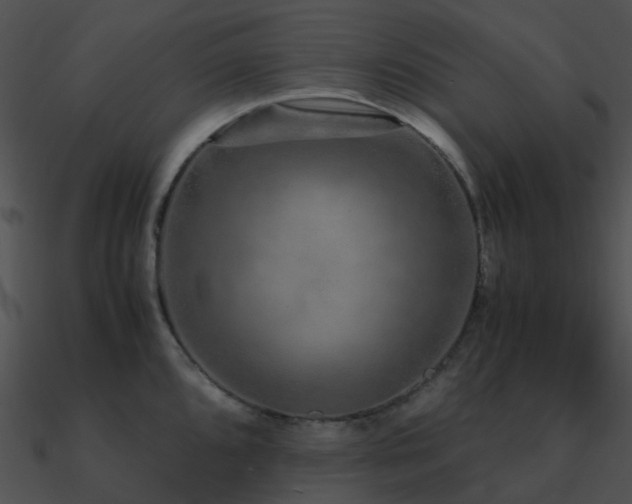 X0000090991096200708021517
